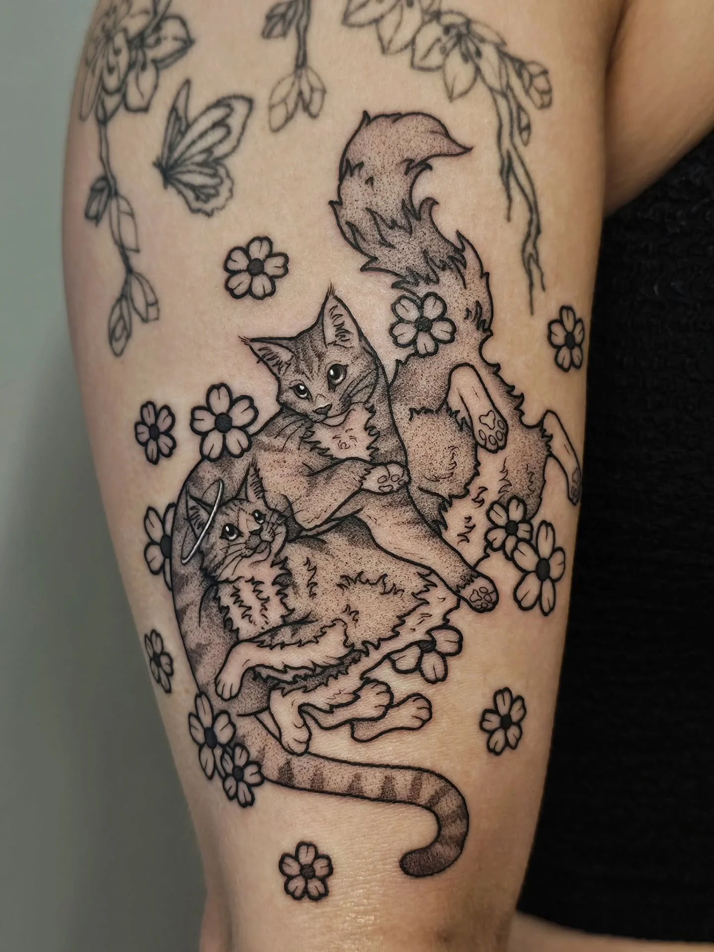 😽 MOSHIE &amp; MOUSIE 😾
got to tattoo the most handsome kitty bros today 🥹 thank you so much for your trust @autumndianne21 &amp; for the opportunity! I love the result ♡

*other tattoos not by me*

🚨 BOOKS OPEN TONIGHT AT 6PM FOR JULY APPTS! 🚨
