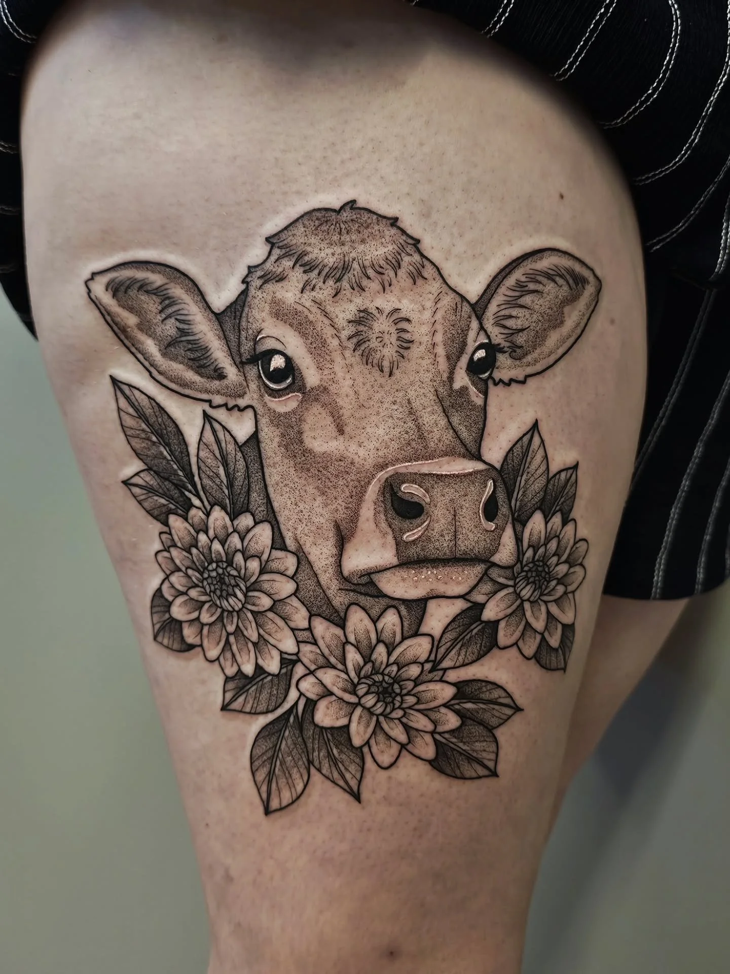 🐮 MOO 🐮
a sweetie pie Jersey cow to end the week 😚 we finished this piece in under 4 hours! youre a trooper, Codi! thank you so much!

☆ BOOKS OPEN MONDAY AT 6PM FOR AUGUST APPTS ☆

#cowtattoo #jerseycow #blackwork #animaltattoos #pennstate