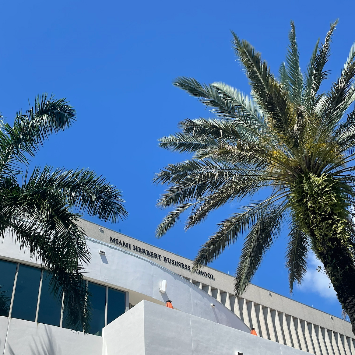 Undergraduate Studies