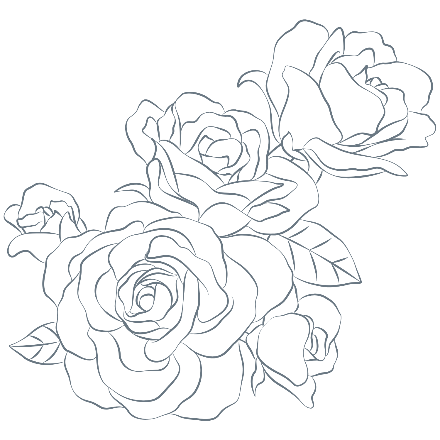 Line drawing of four roses with leaves