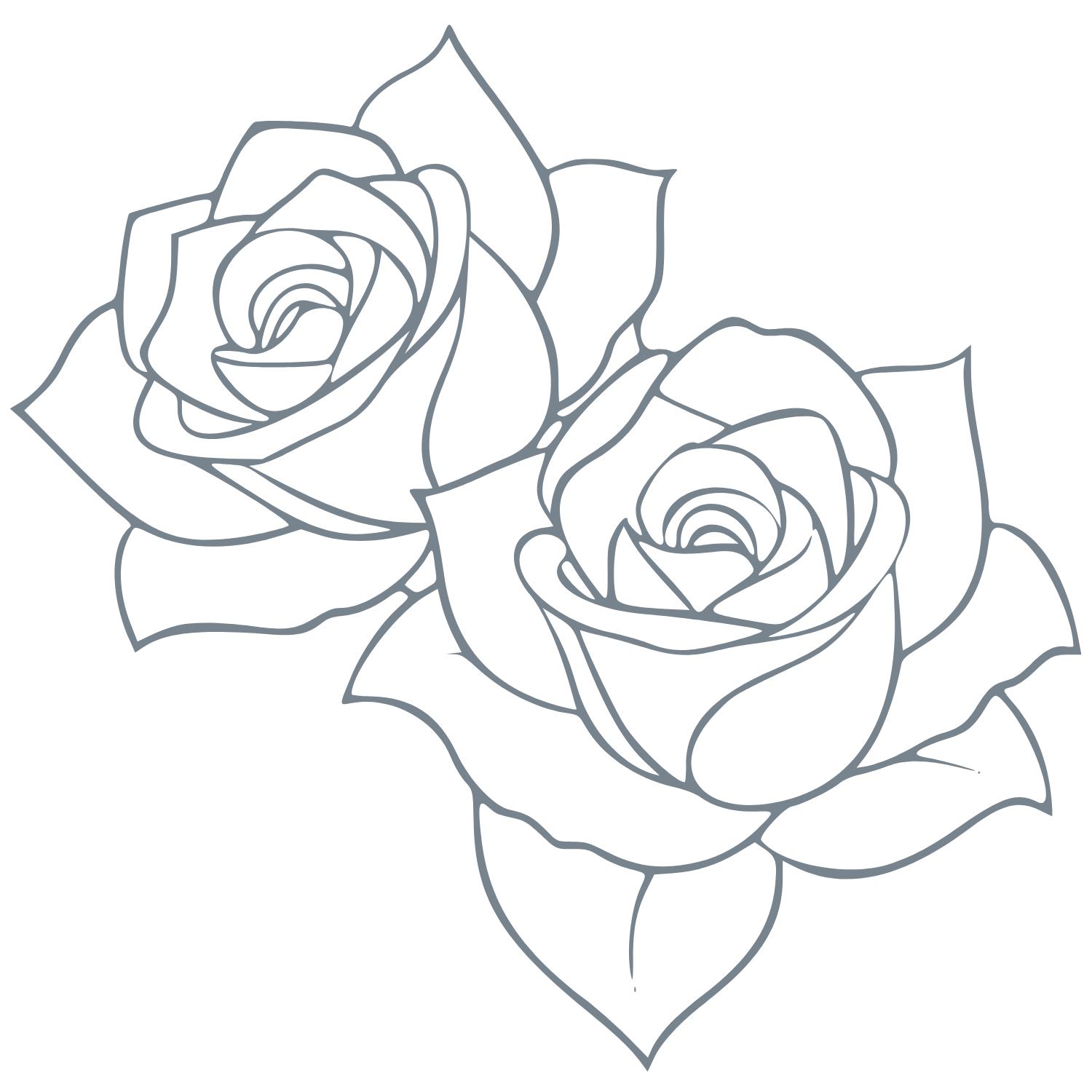 Line drawing of four roses with leaves
