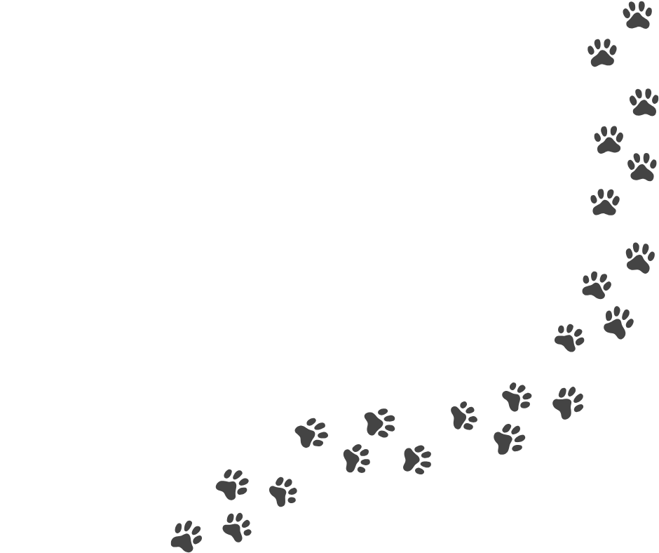 A silhouette of a dog with a trail of paw prints leading upwards along the right side and bottom of the image.