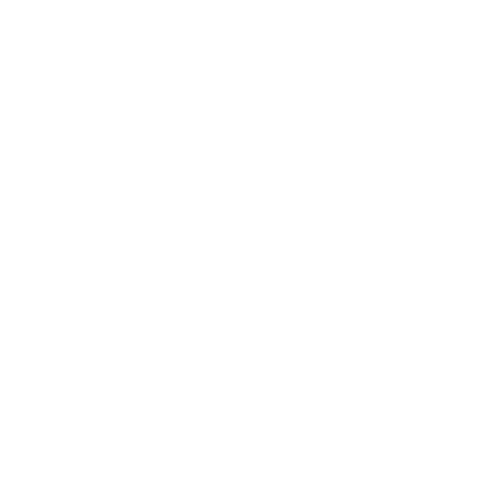 Bowls filled with pet-friendly shampoo and bubbles, with a paw print design on the bowl.