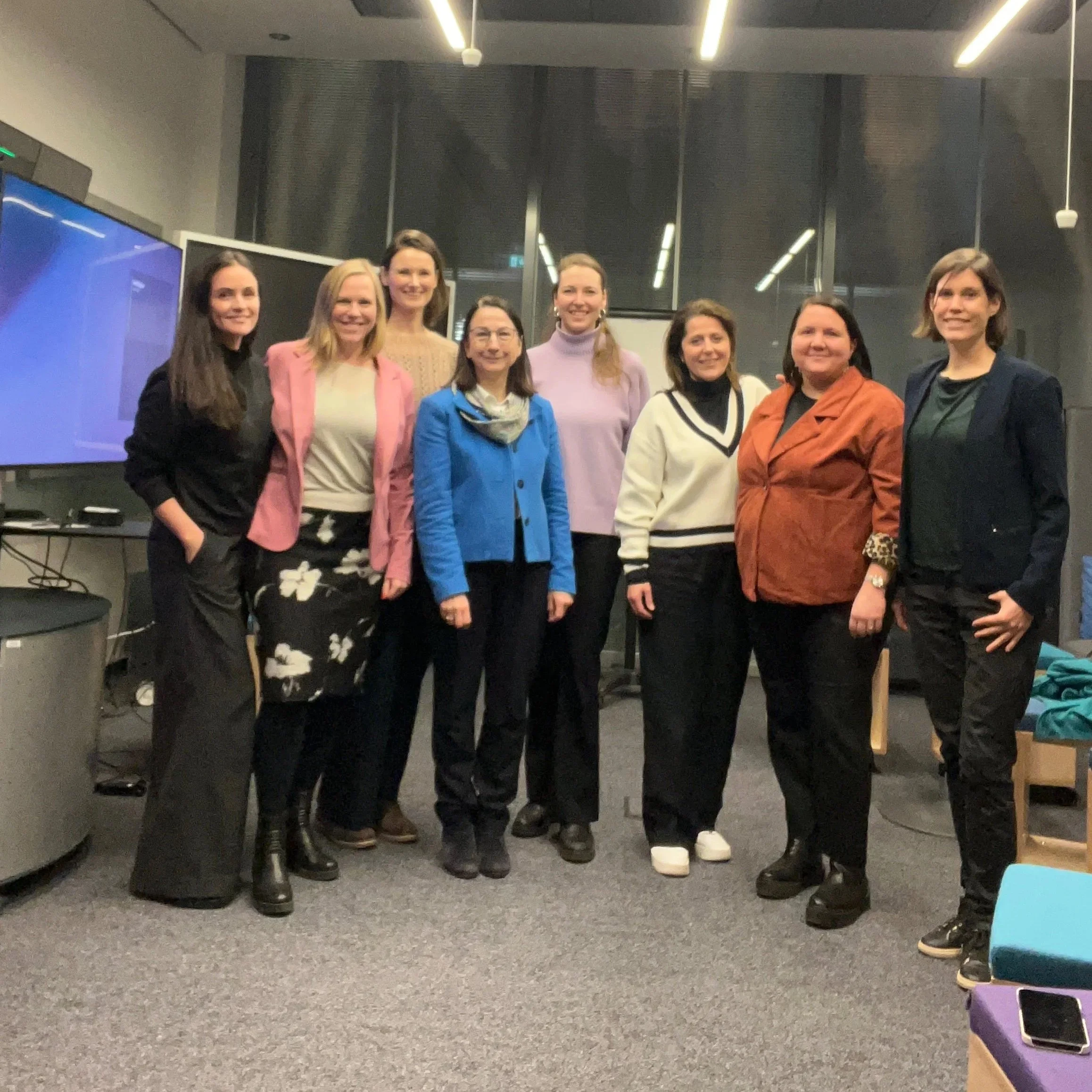 Expert:innen-Team Gleichstellungs-Aktionsplan Mannheim