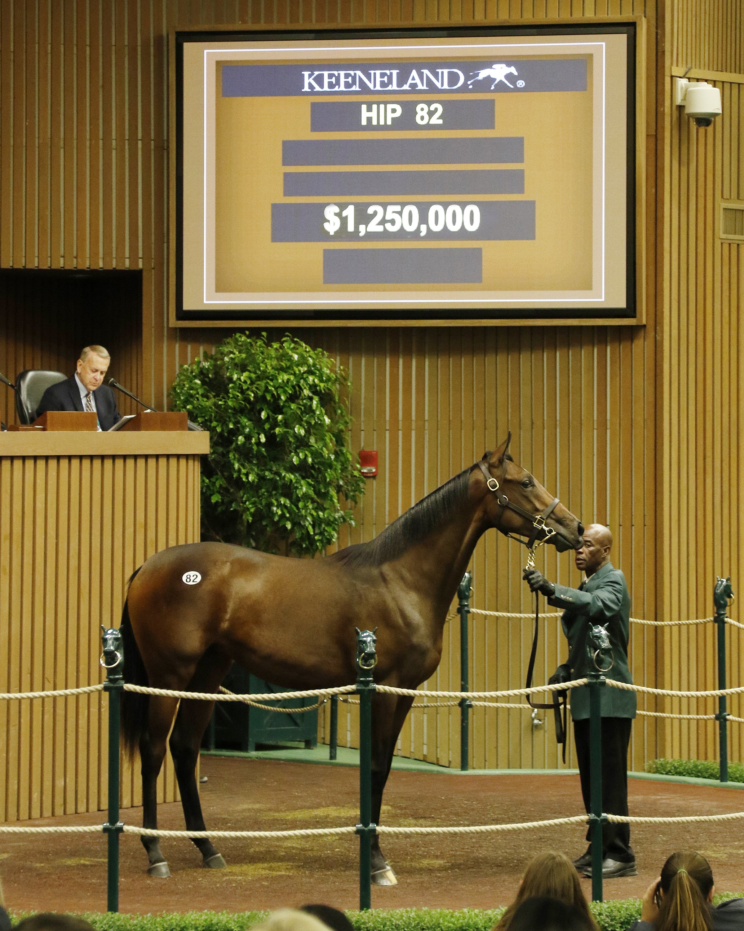 Auction scene with a brown racehorse labeled 82, being held by a handler, with a judge and an audience in the background, and a large screen displaying details about the horse including a $1,250,000 price.