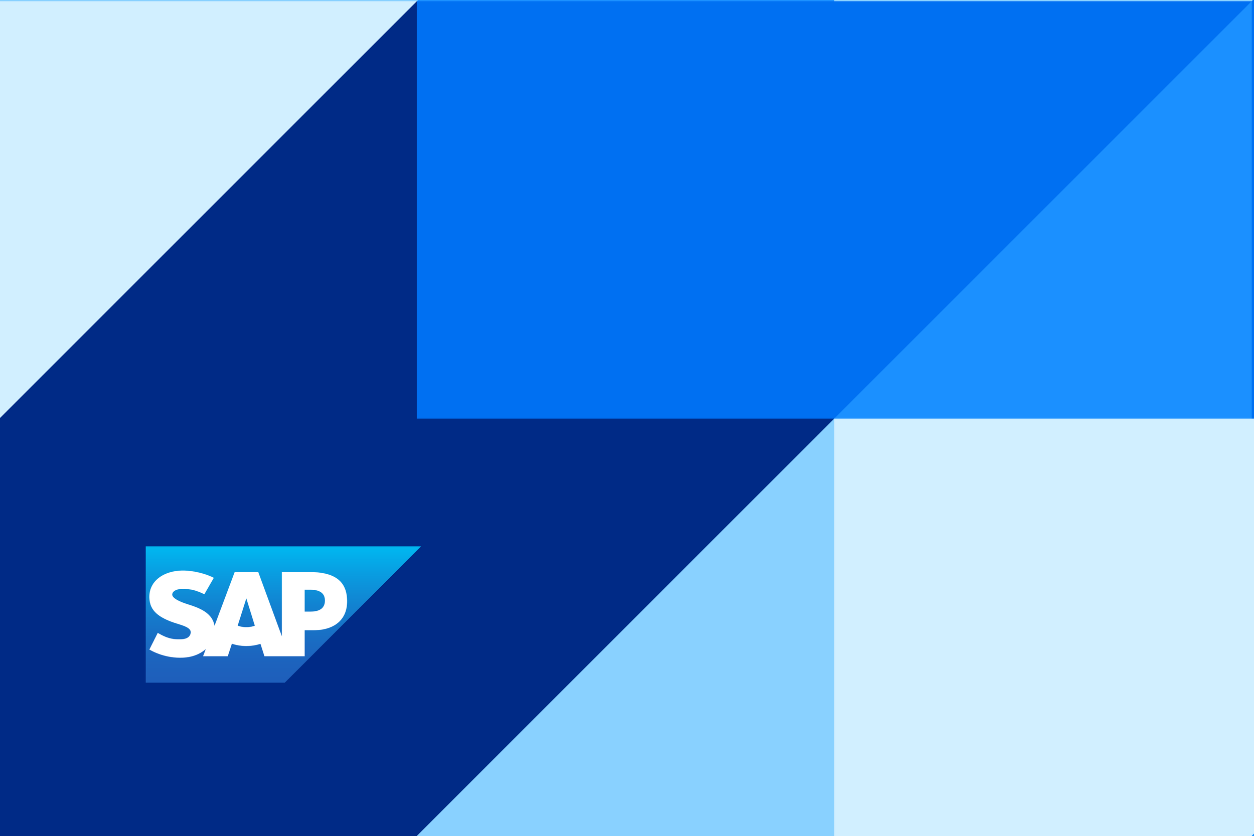 SAP Insights