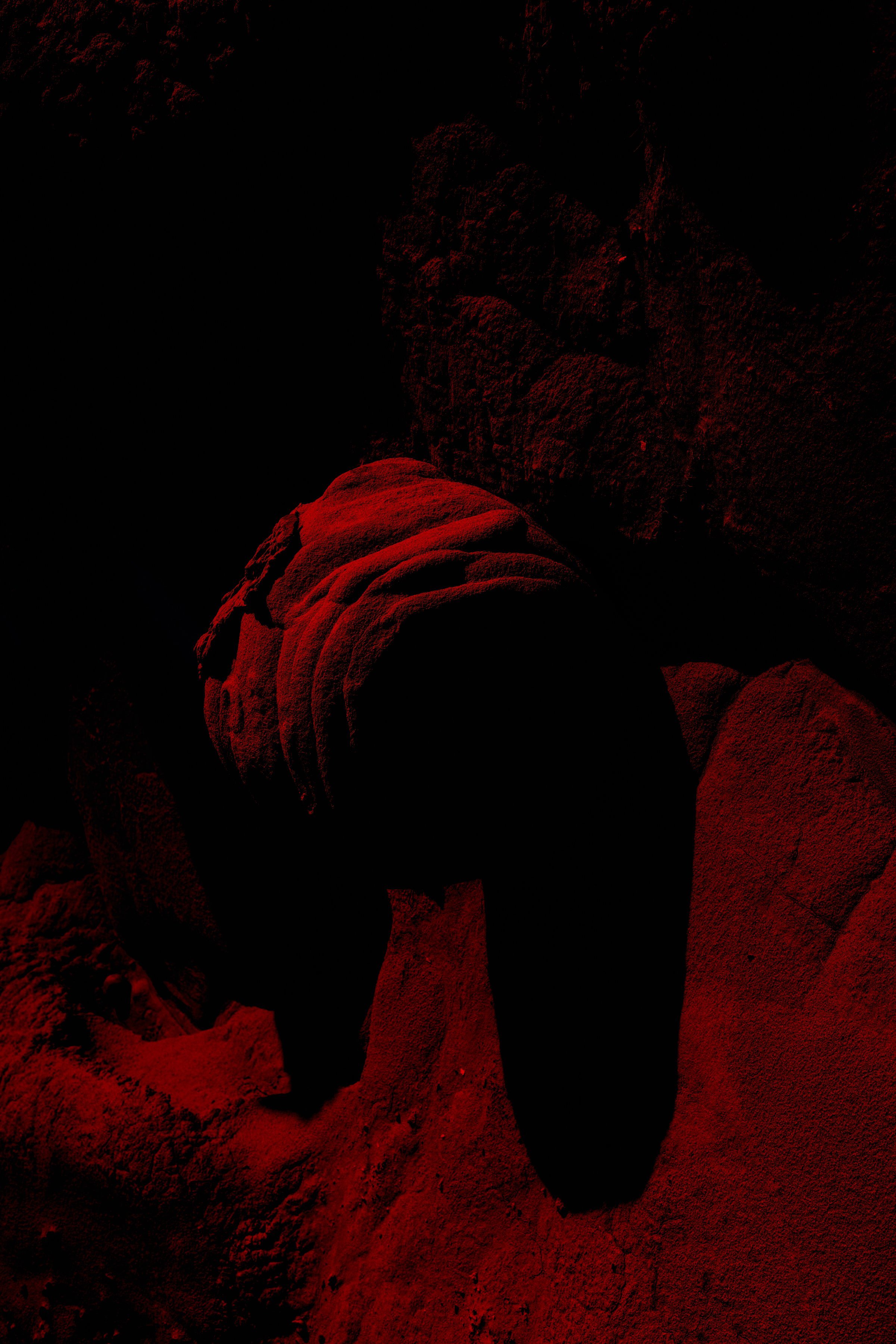 Djeneba Aduayom00100.jpg