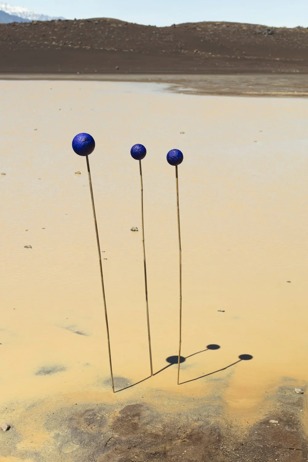 Djeneba Aduayom00243.jpg