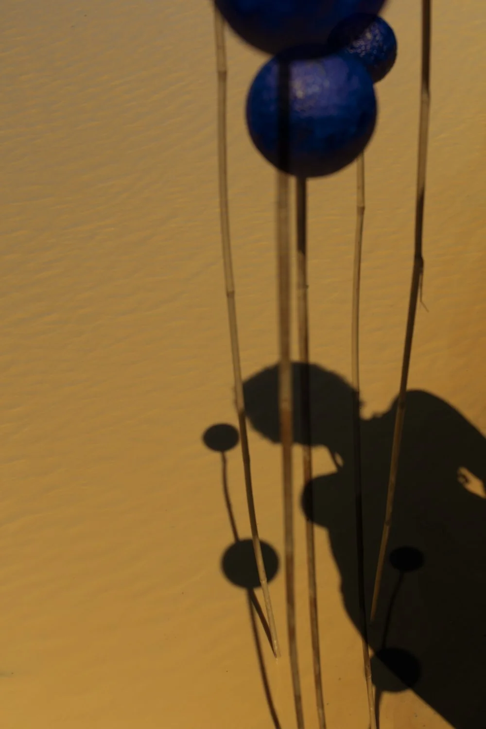 Djeneba Aduayom00244.jpg