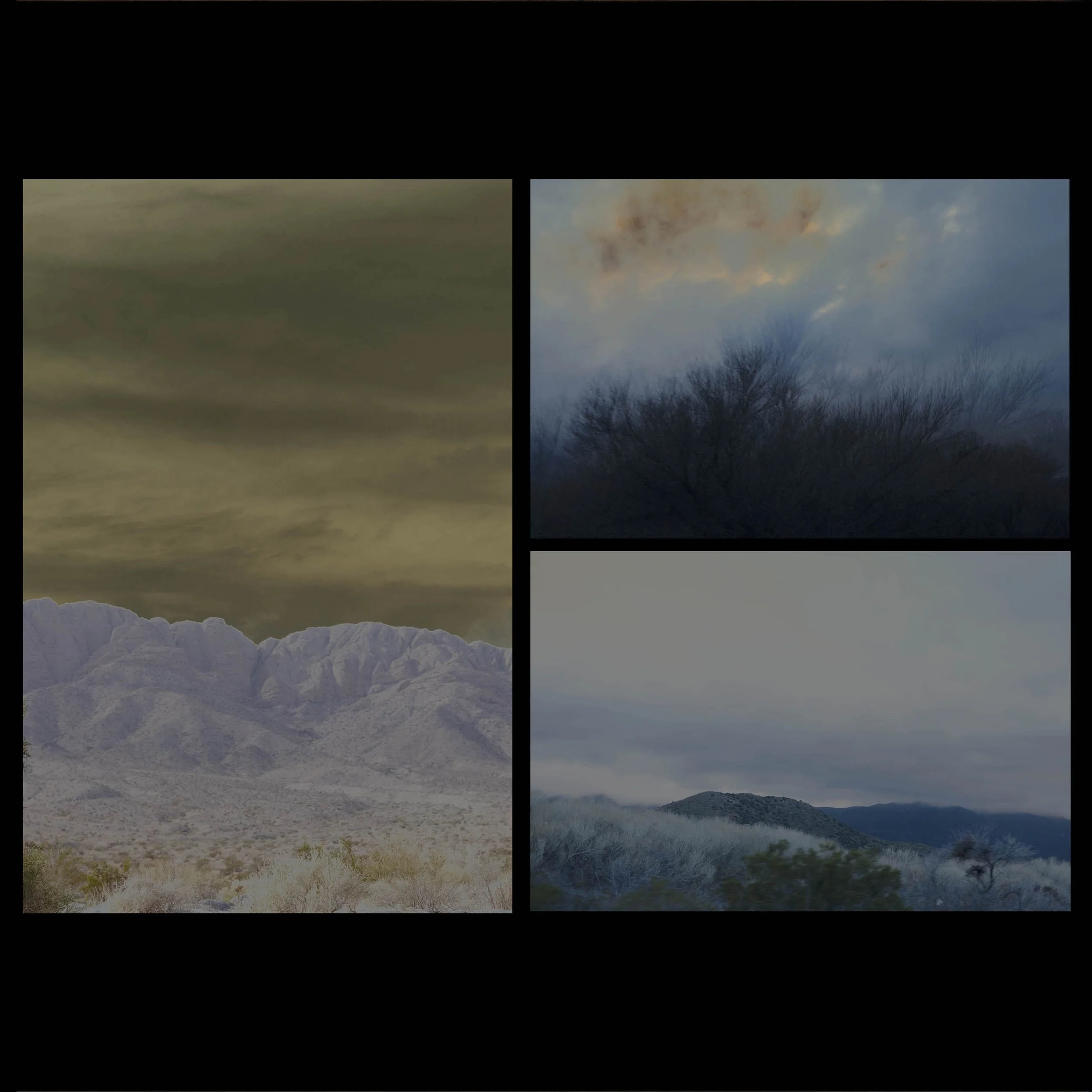 Djeneba Aduayom00428.jpg