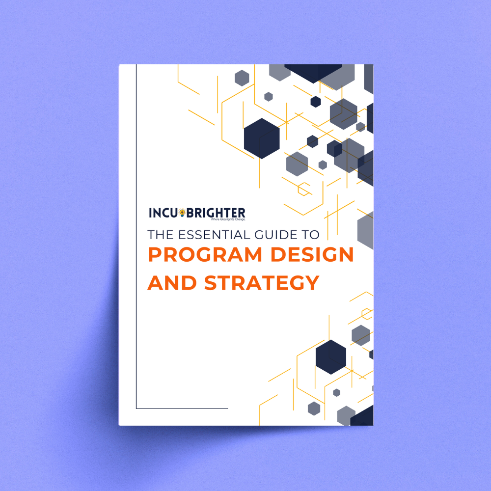 The Essential Guide to Program Design and Strategy