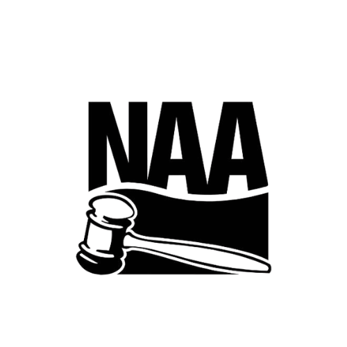 Graphic with the text 'NAA' above a gavel, signifying a legal or judicial theme.