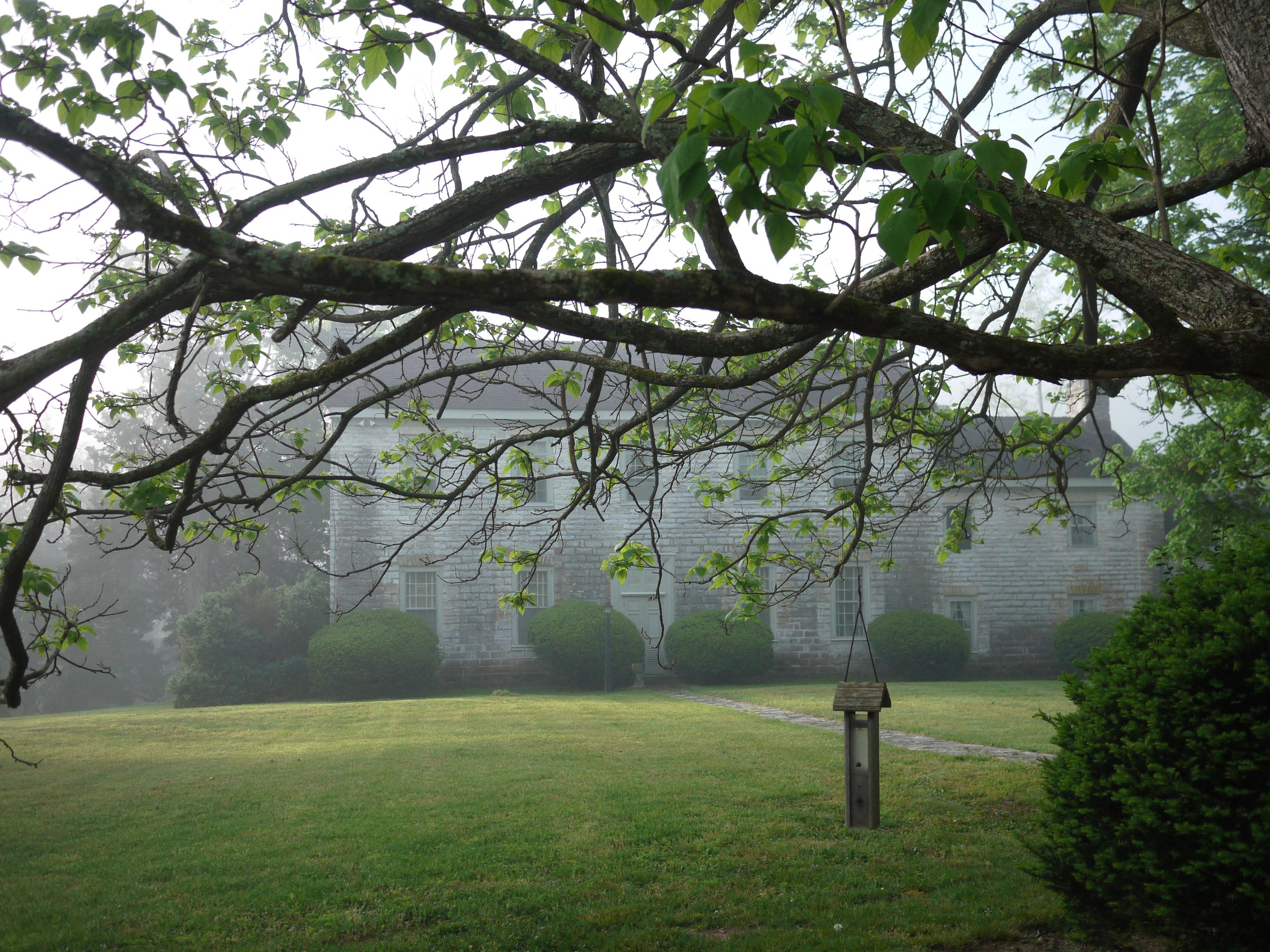 P1080290.JPG