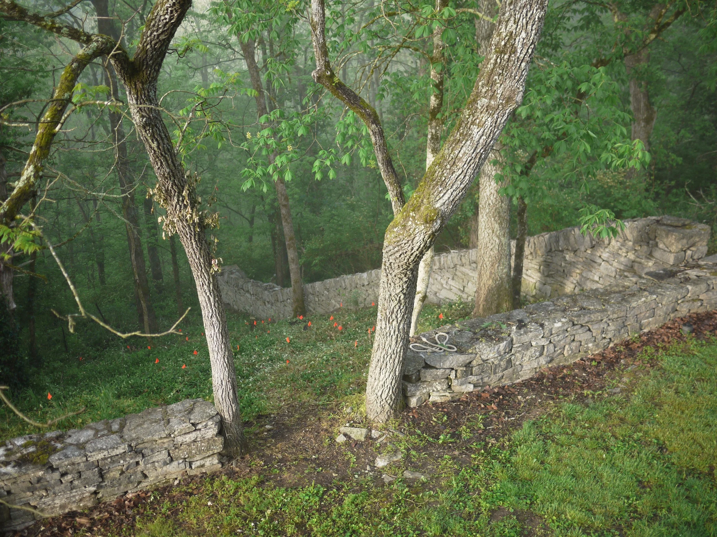 P1080294.JPG