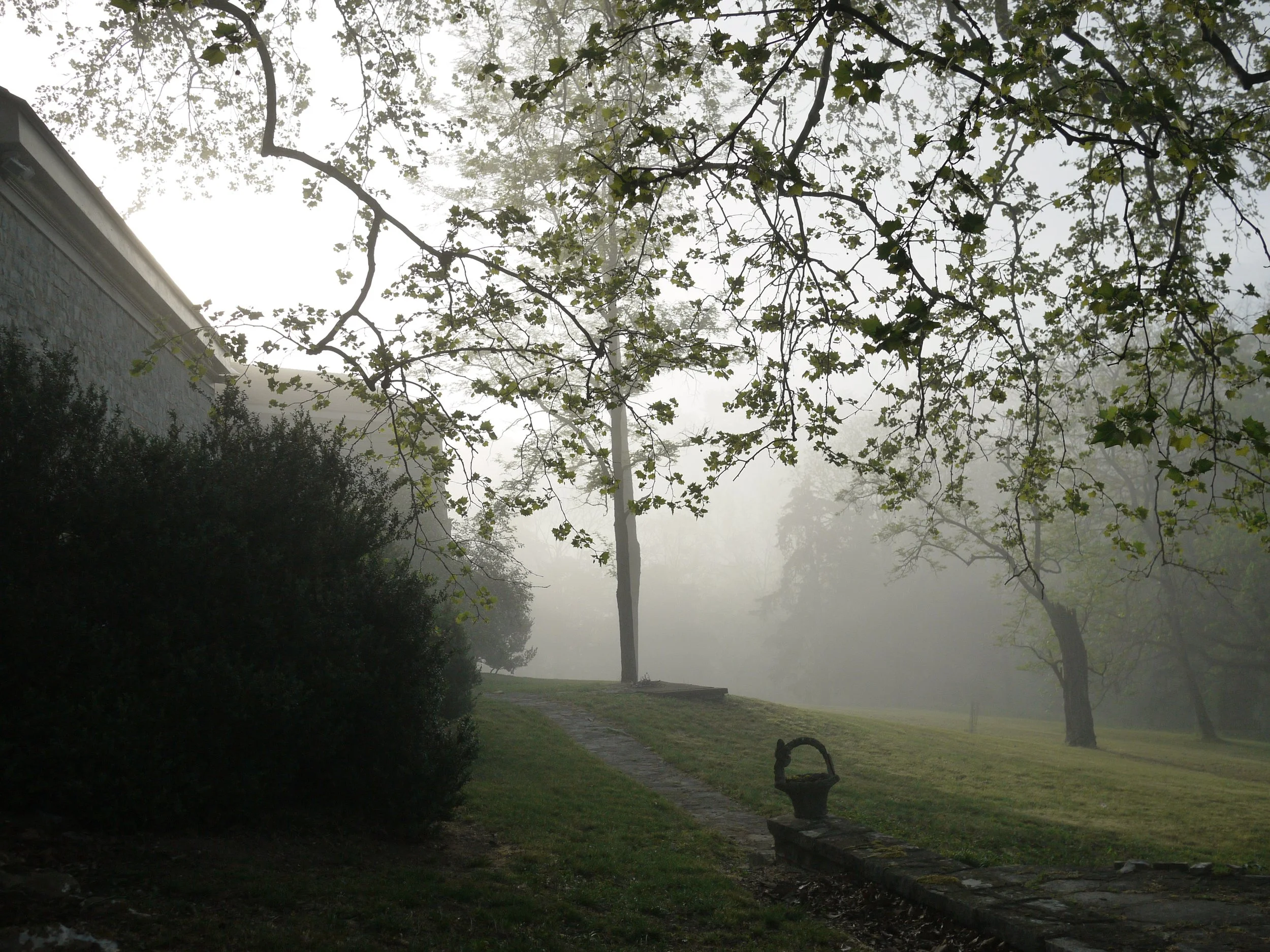 P1080297.JPG
