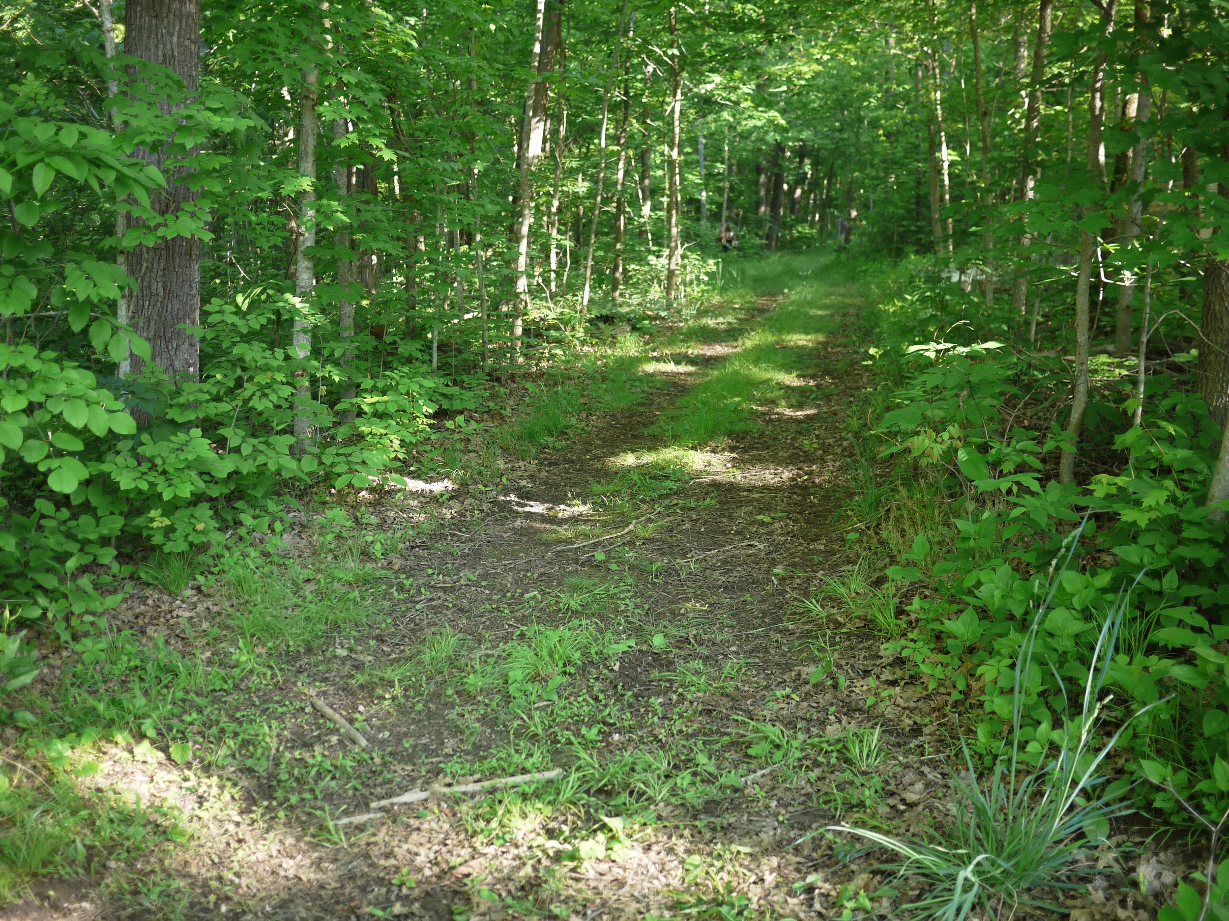 P1080299.JPG