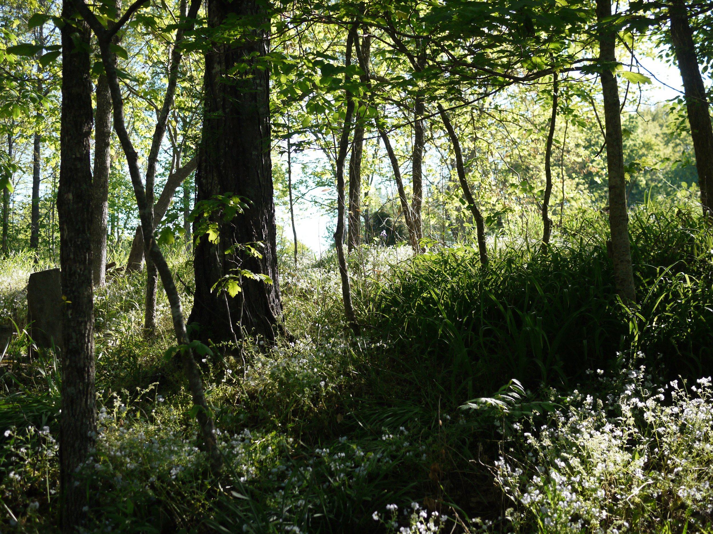 P1080324.JPG