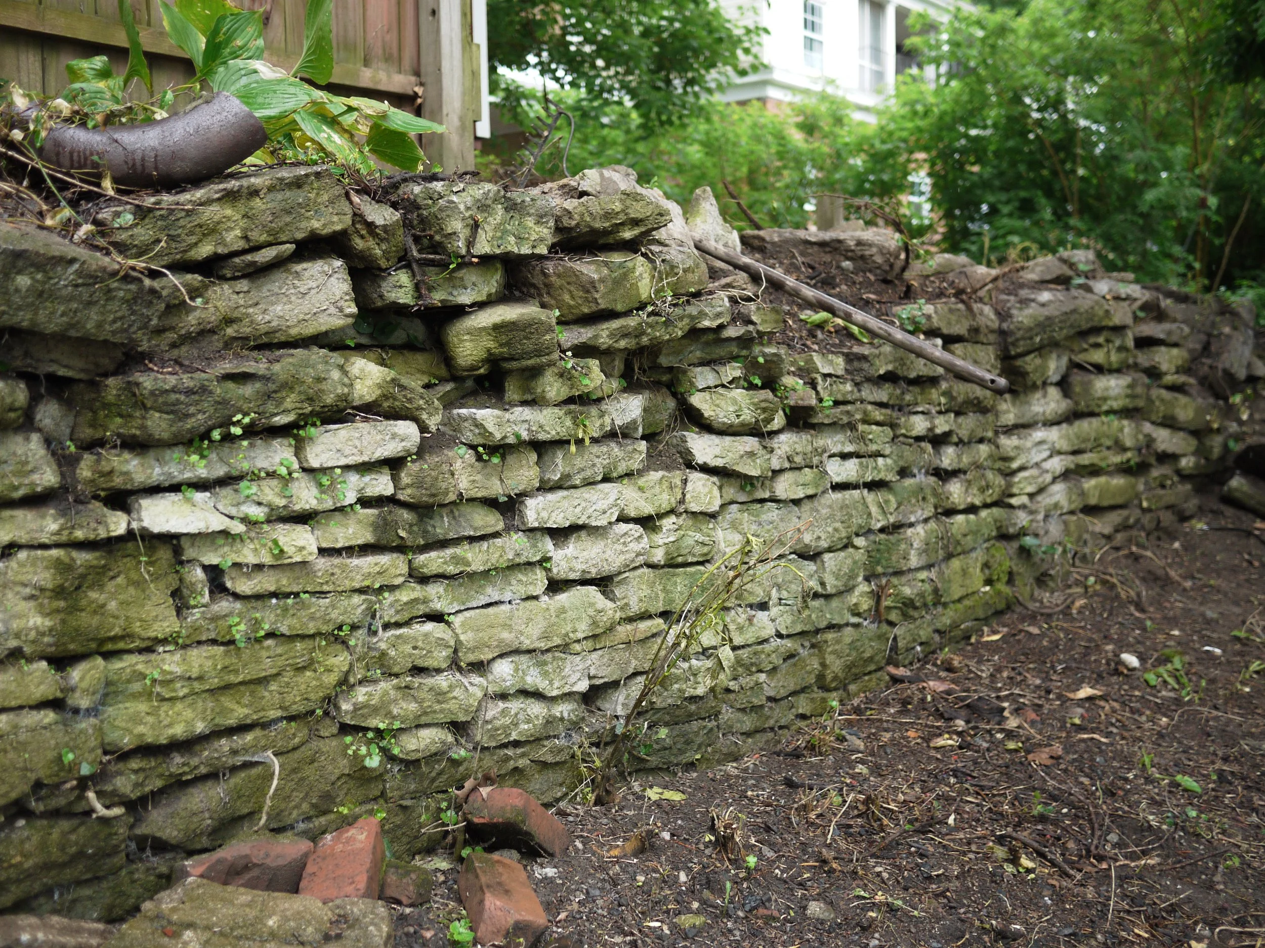 P1080415.JPG