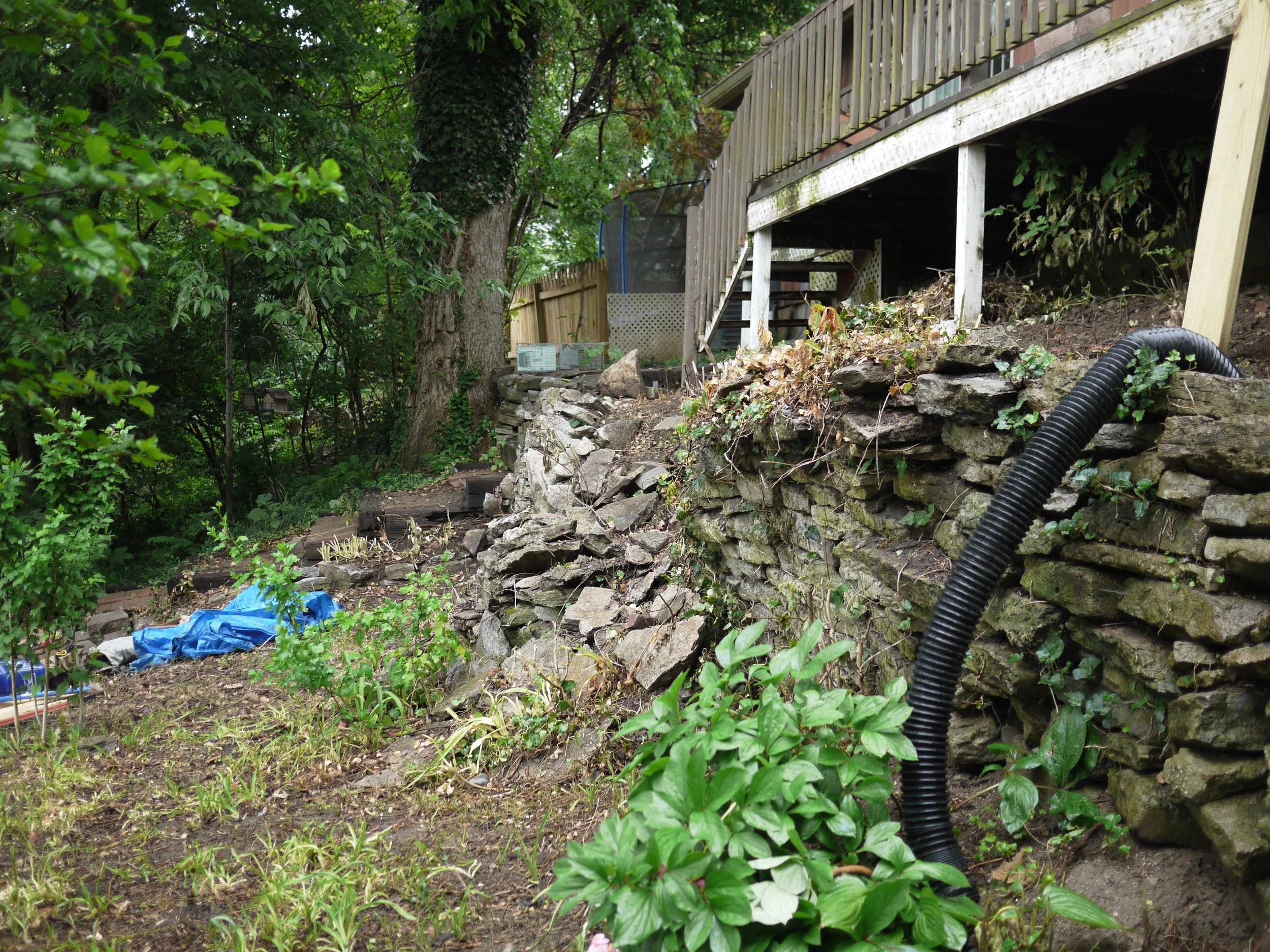 P1080416.JPG