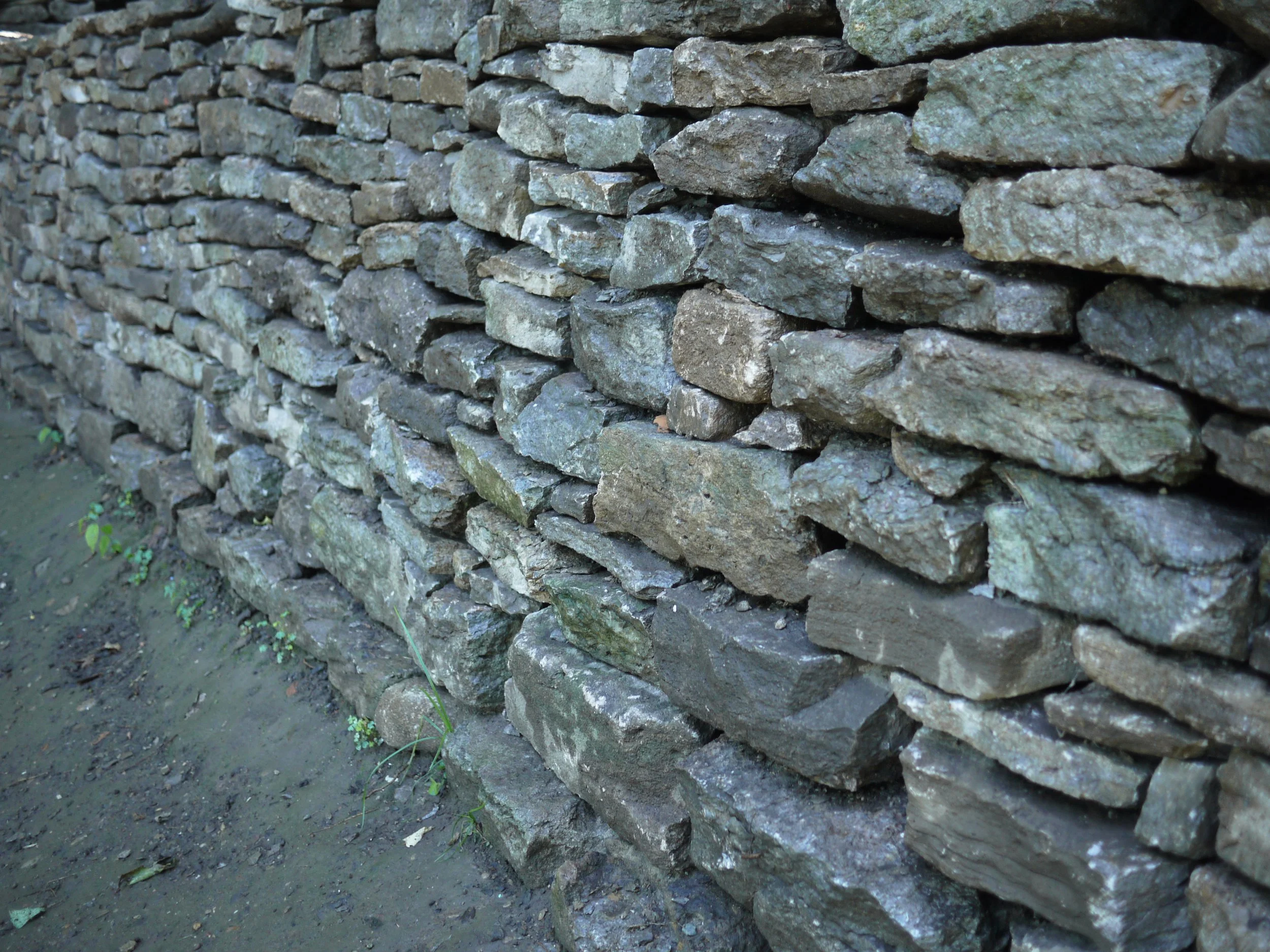 P1080669.JPG