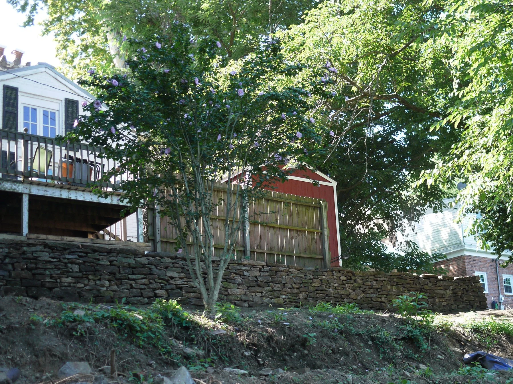P1080693.png
