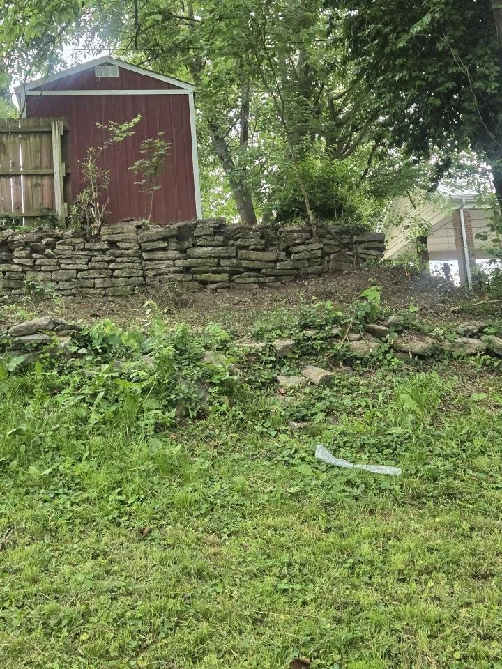 wall .jpg