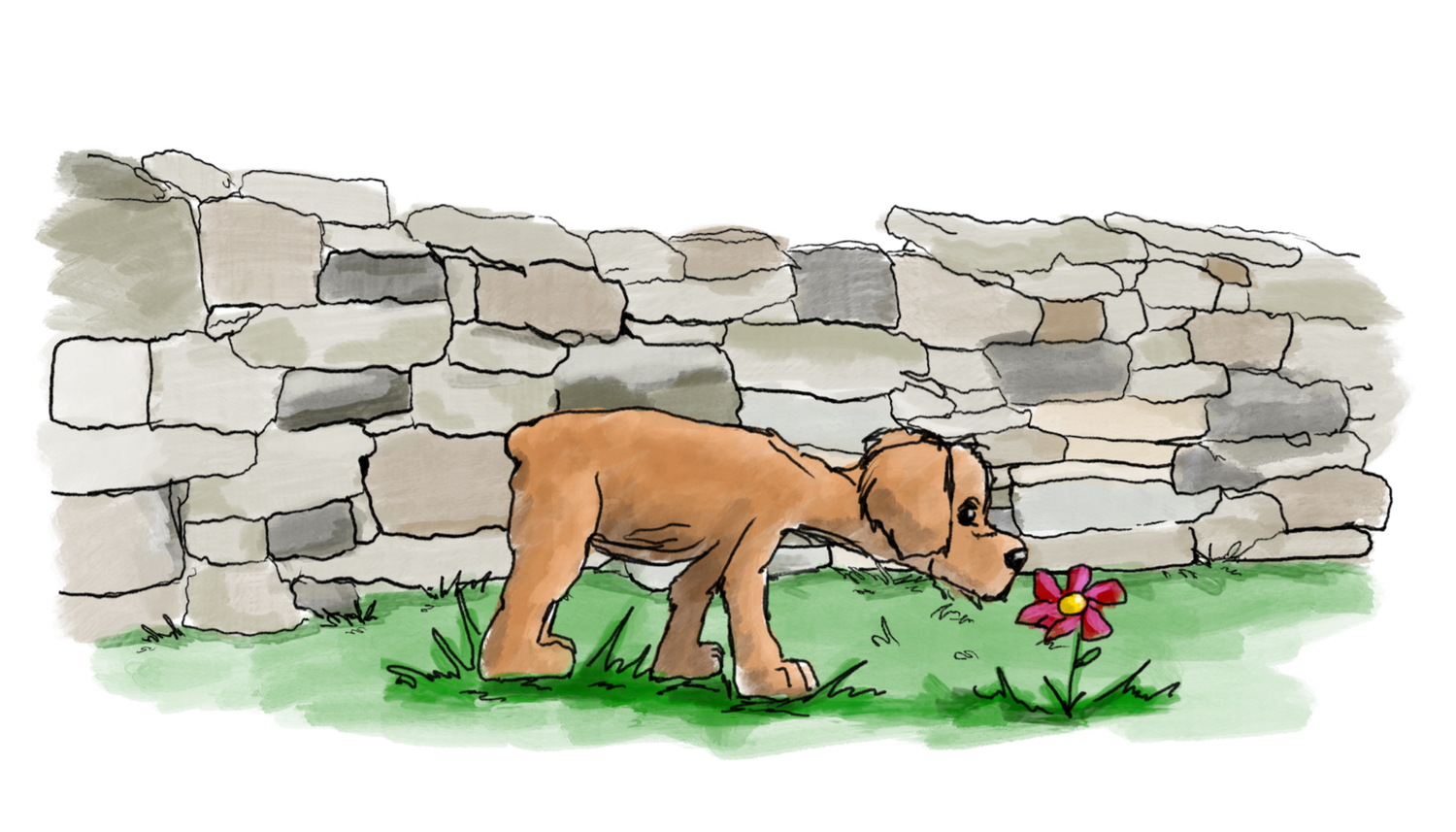 American Dry Stone Masonry