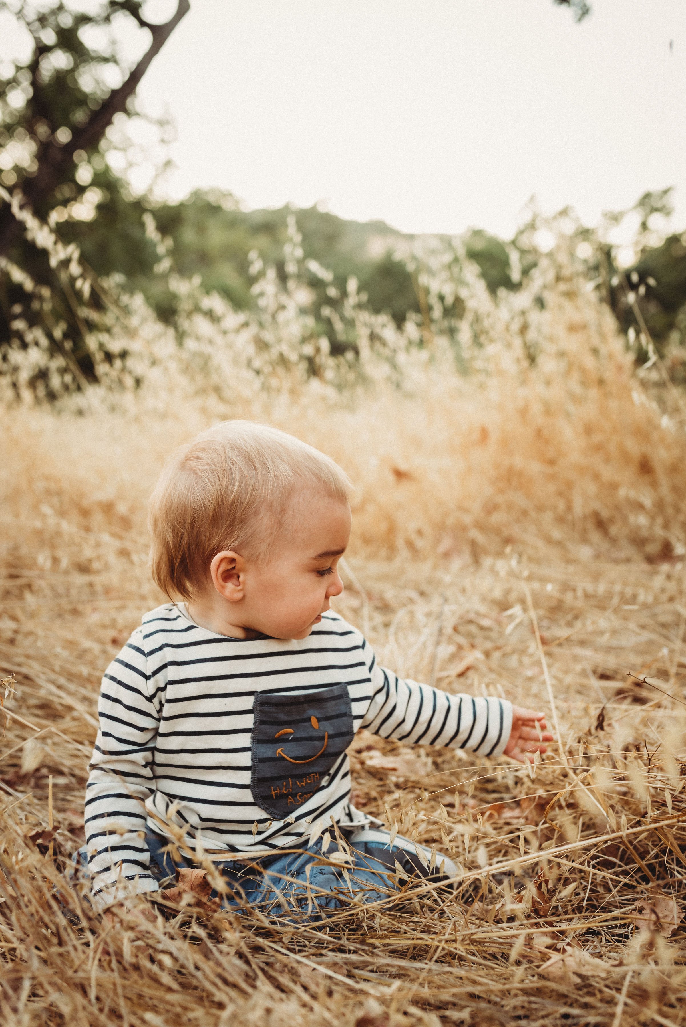 A young child sitting in a field of dry grass and wheat, reaching out to touch the plants, with trees and a soft sky in the background.