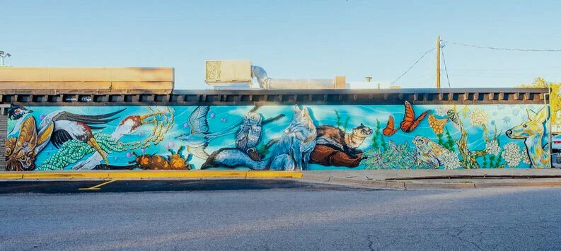 Image Credit: Quit Nguyen