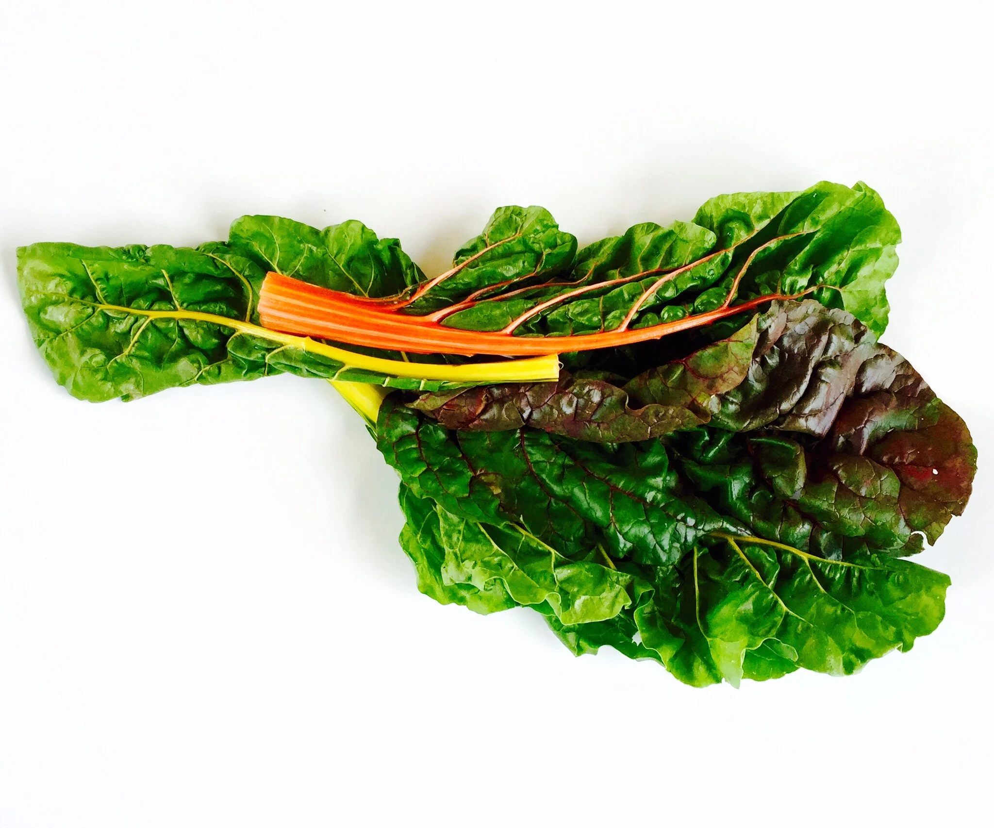 Help Eliminate Hunger