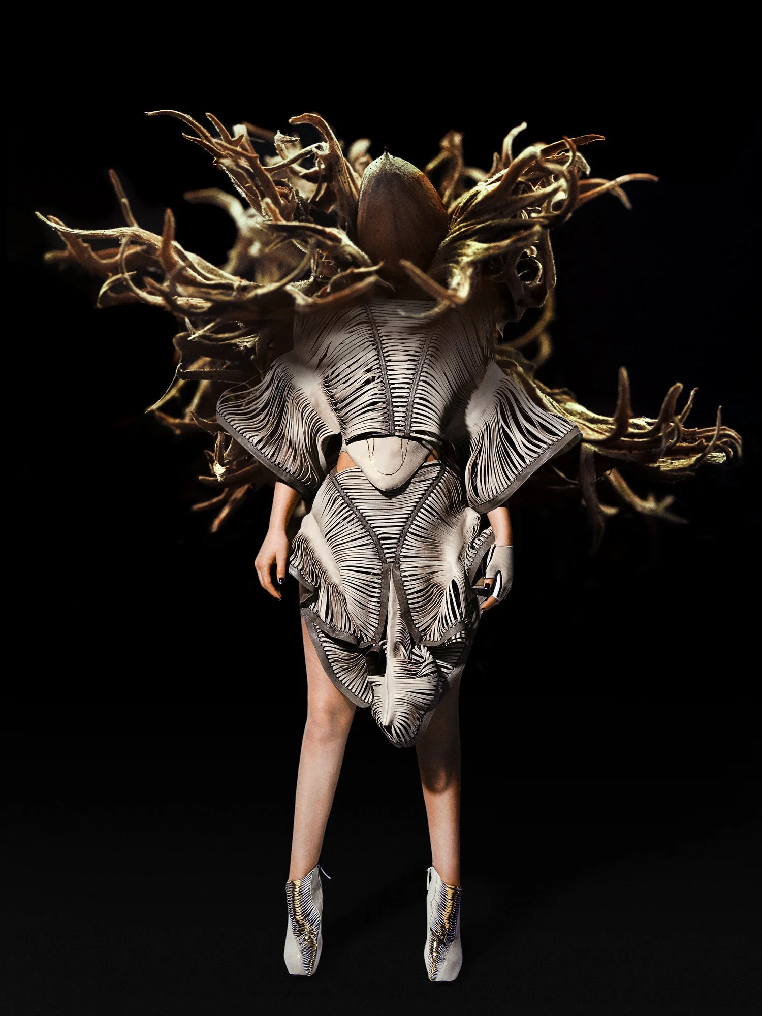 Serie „PflanzenMenschen“, Motiv „Couture“