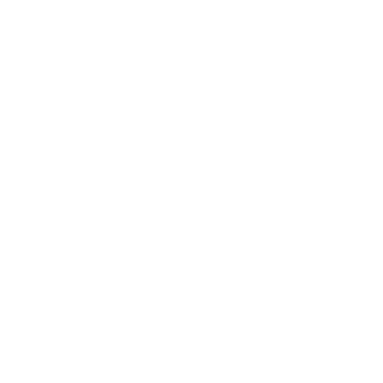 Partner-logos_dometic.png