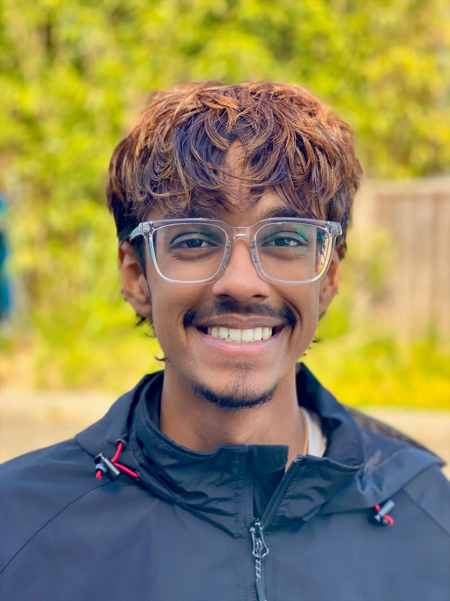Avi