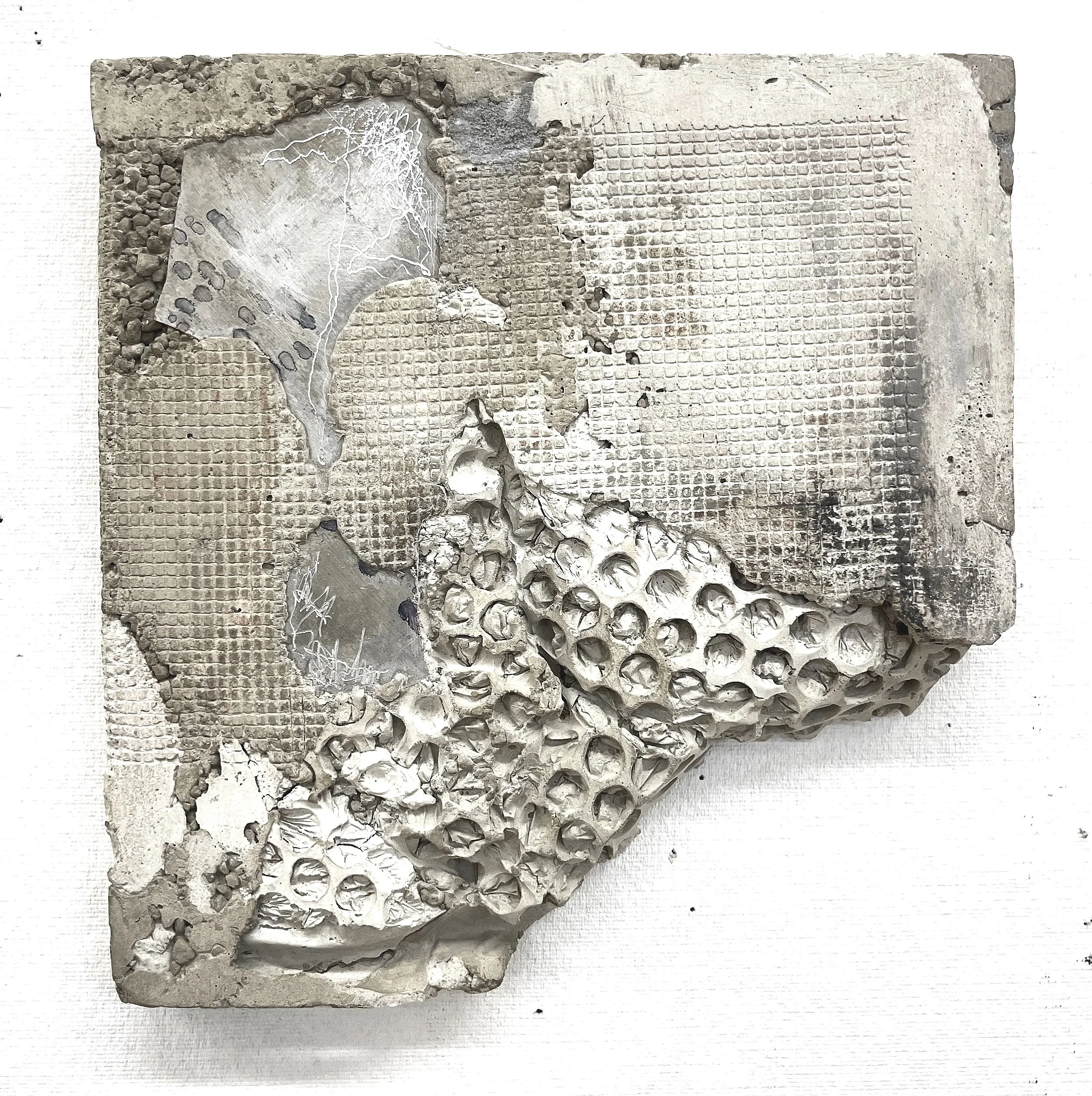 "Black Oak." Metal and Concrete. 8x8". 2023