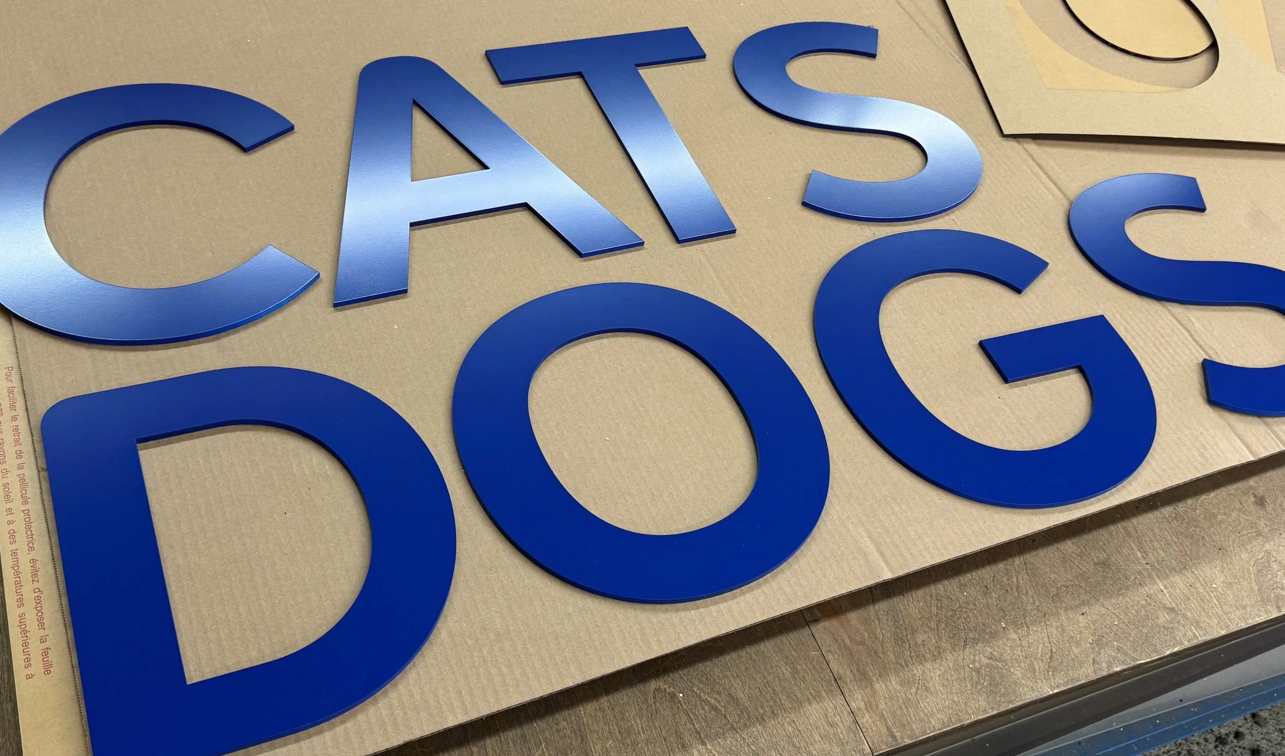 Painted acrylic letters Cats and Dogs.jpg