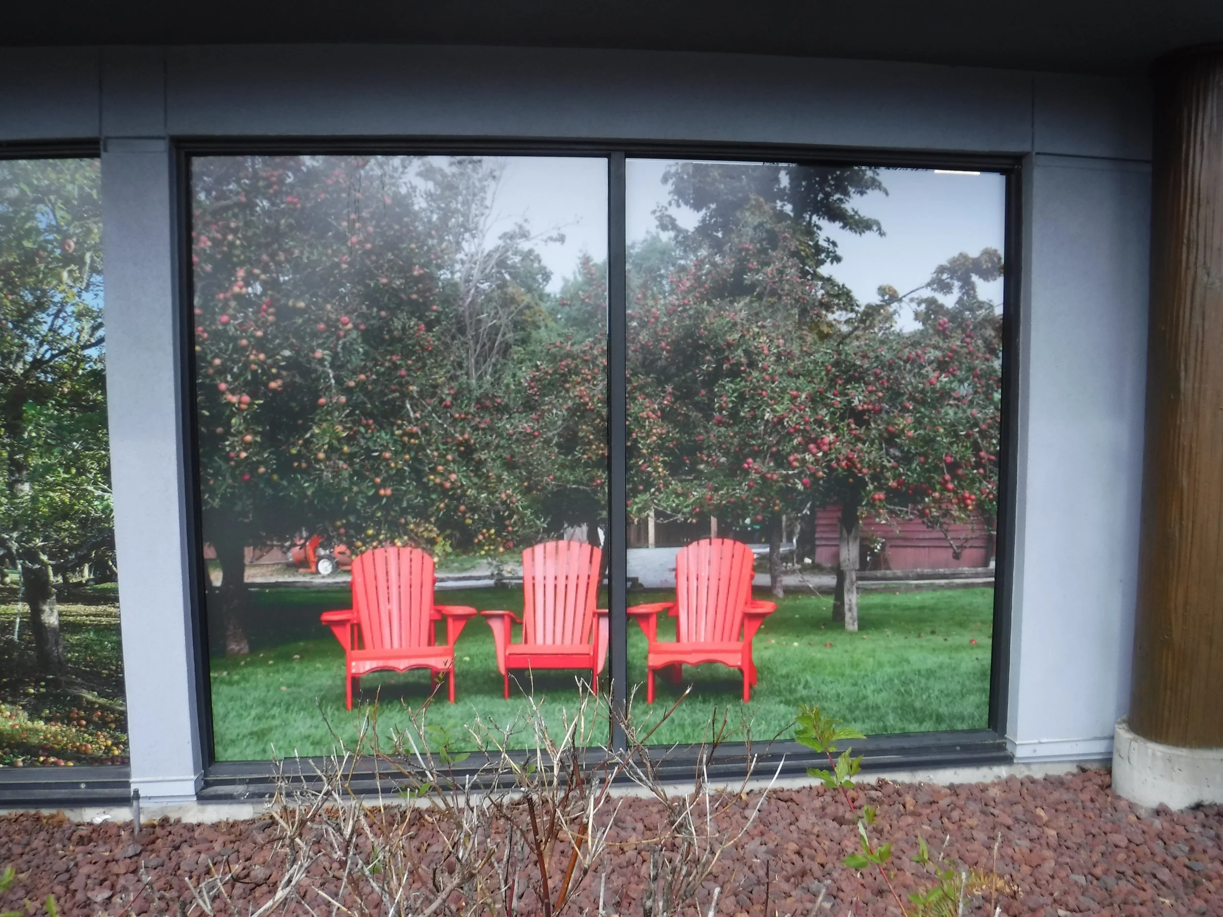 See Through Perforated Window Graphics