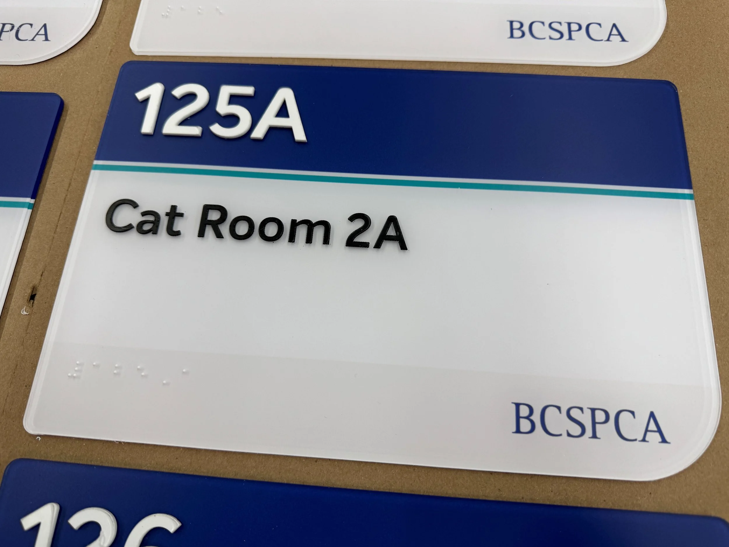 Cat Room Braille ADA Sign.jpg