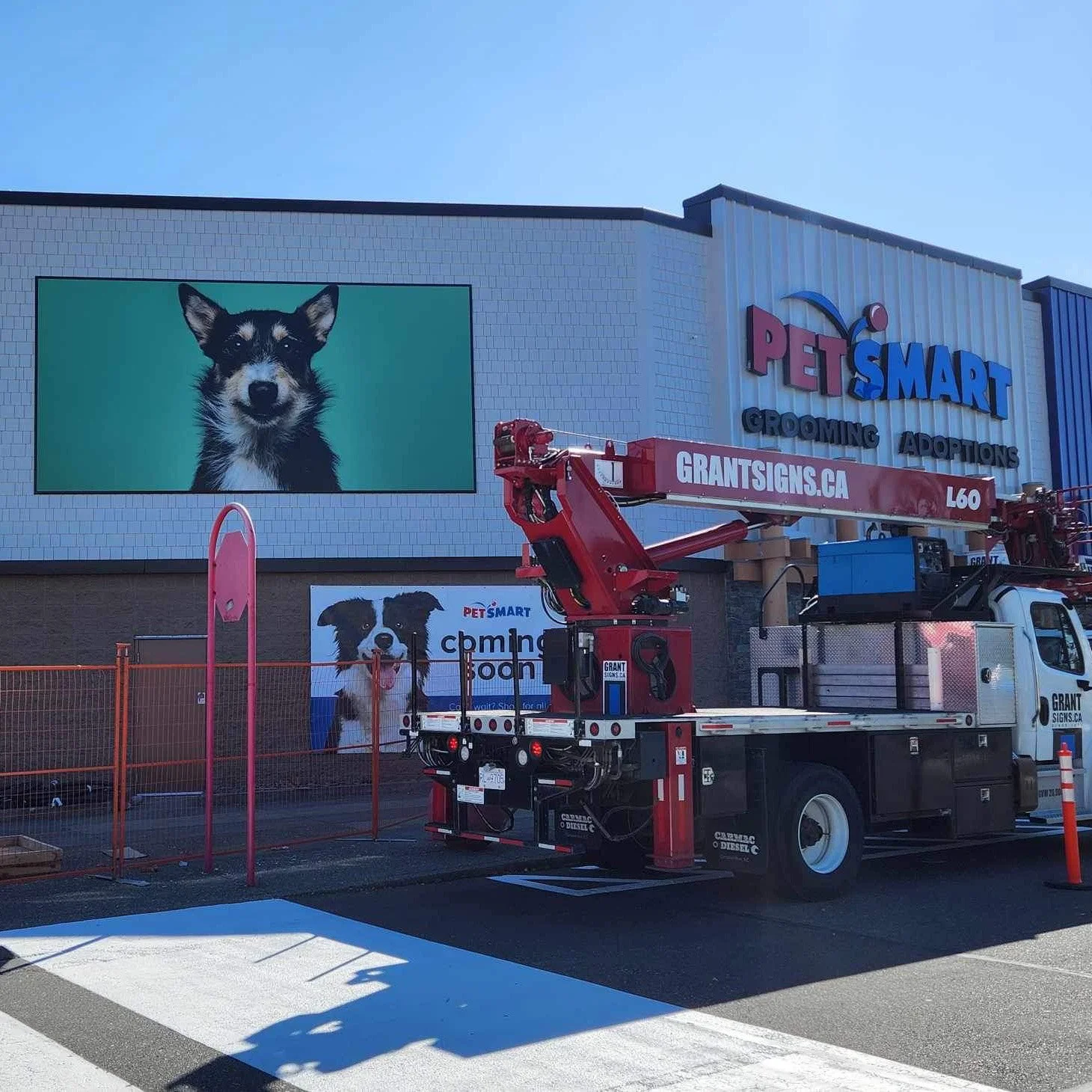 Petsmart Install.jpg