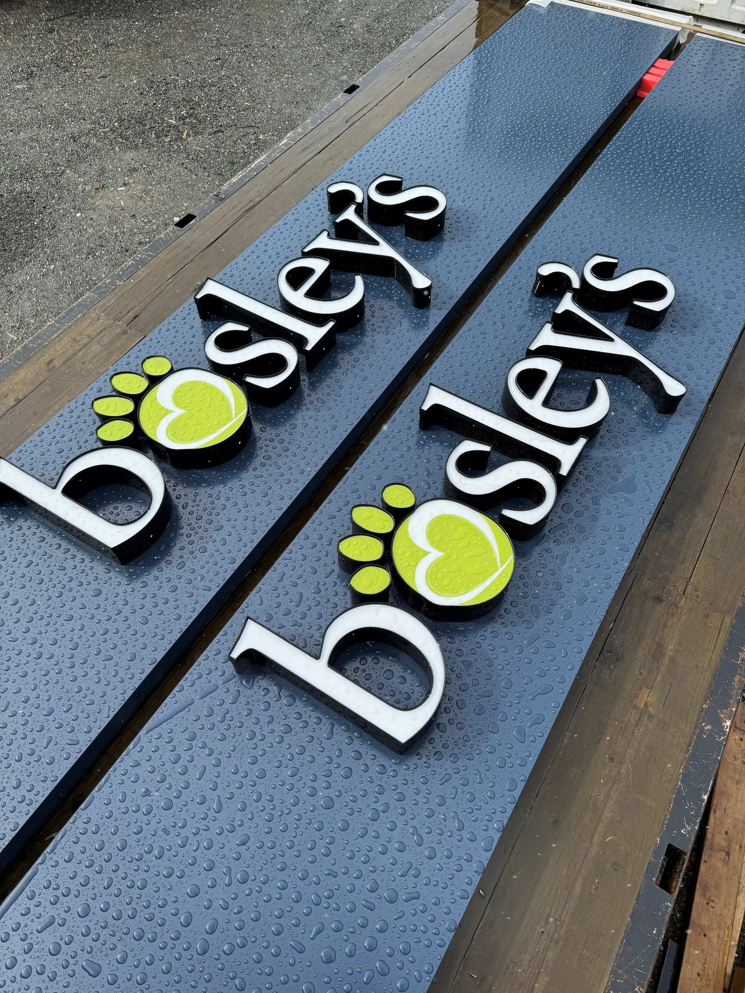 Bosleys channel letters on backer panel.jpg