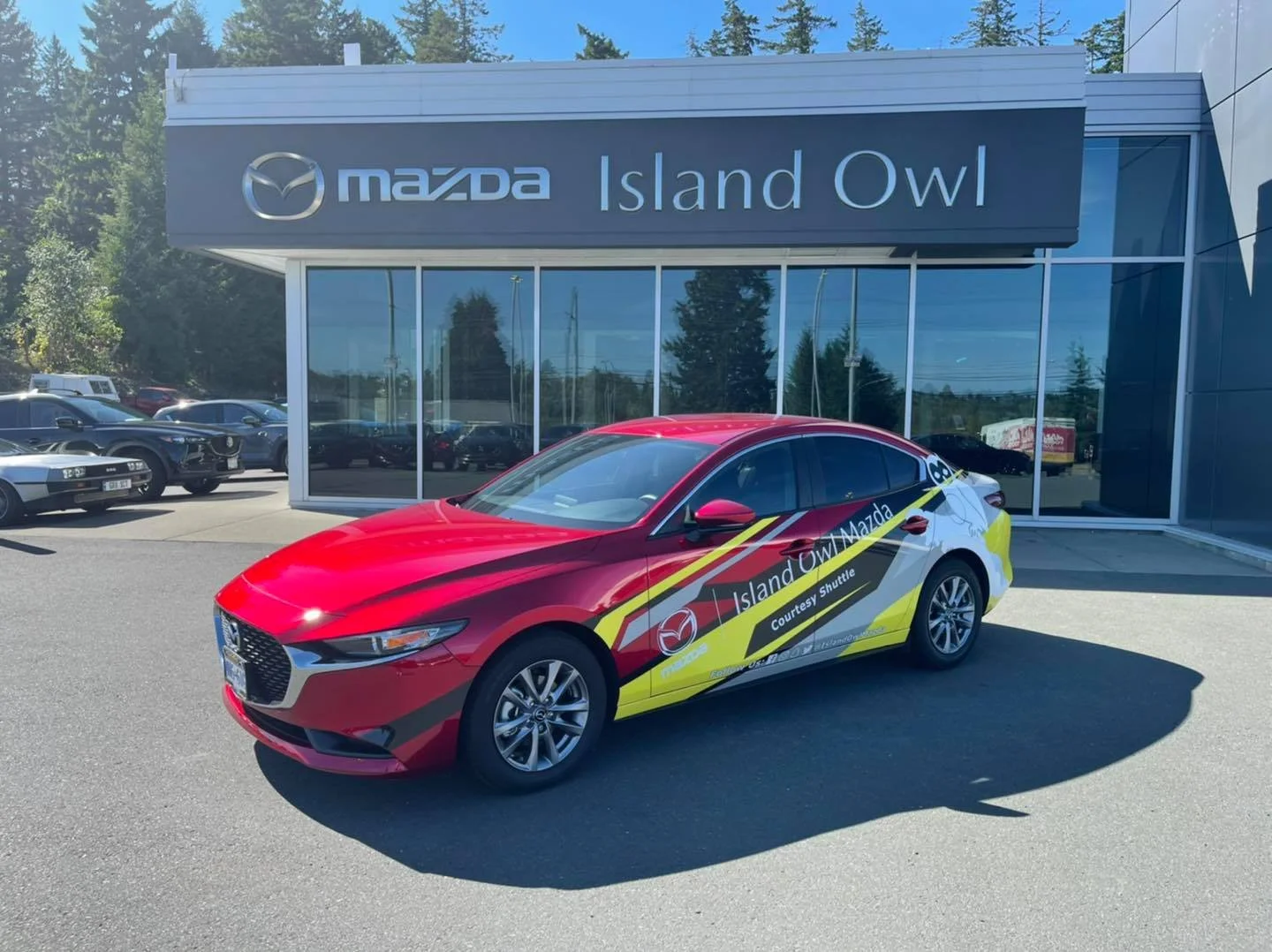 Island Owl Wrap.jpg