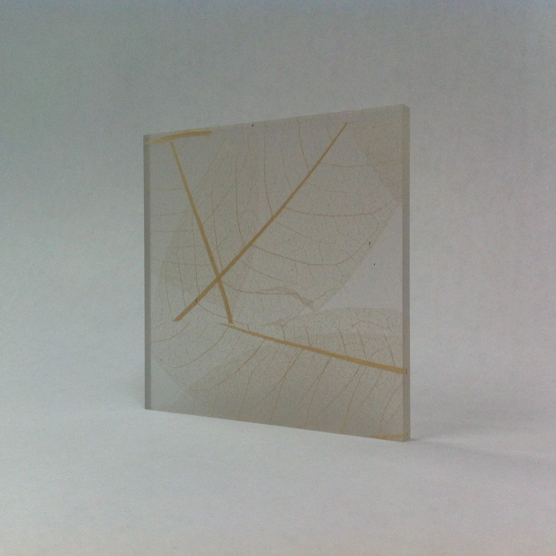 3Form example Leaf.JPG