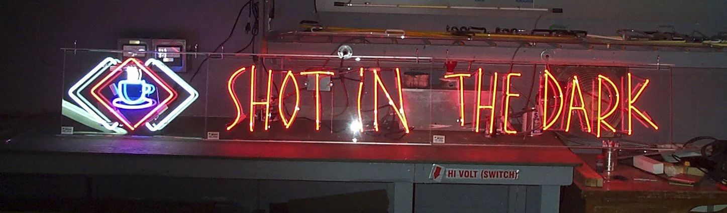 shot in the dark jpg1.jpg