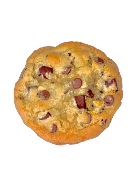 Beary Chocolatey Chip Cookie