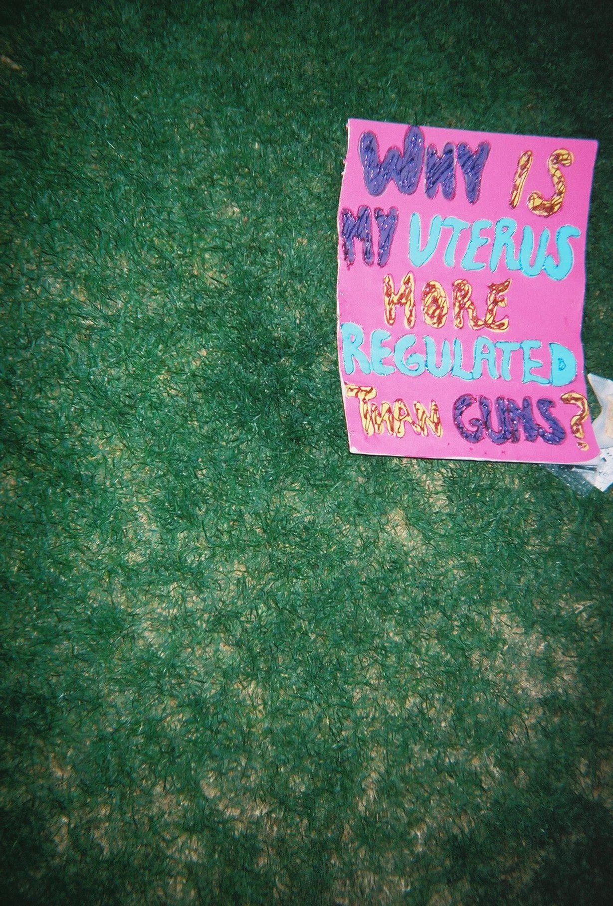 "Why is My Uterus More Regulated Than Guns?" SlutWalk, (2021)