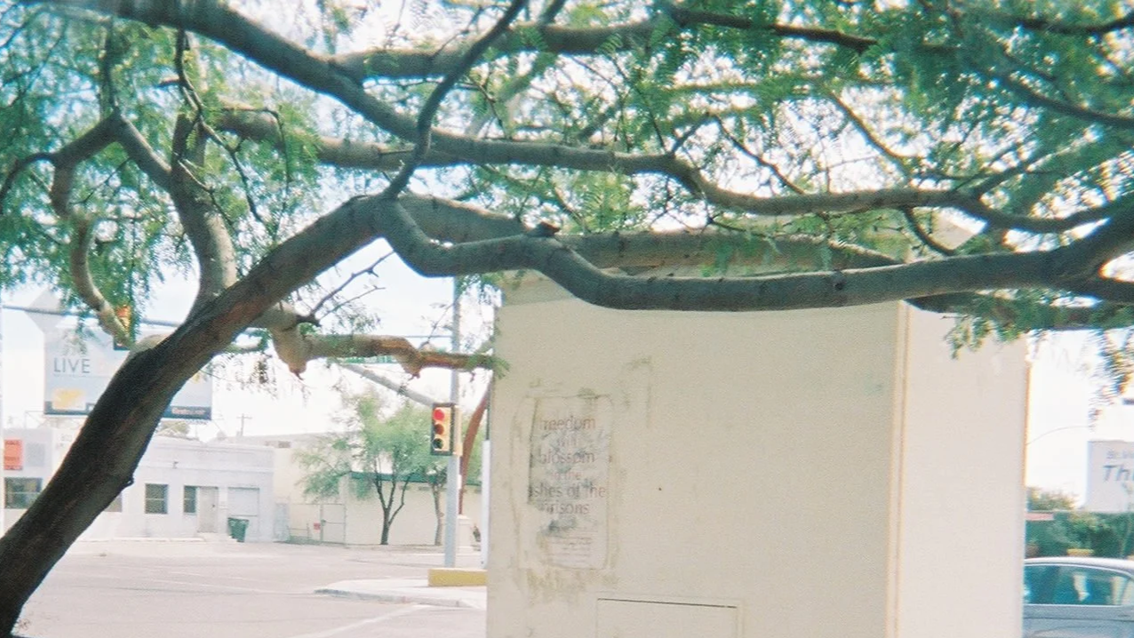 FORCE: Feminists Organized to Resist, Create, & Empower