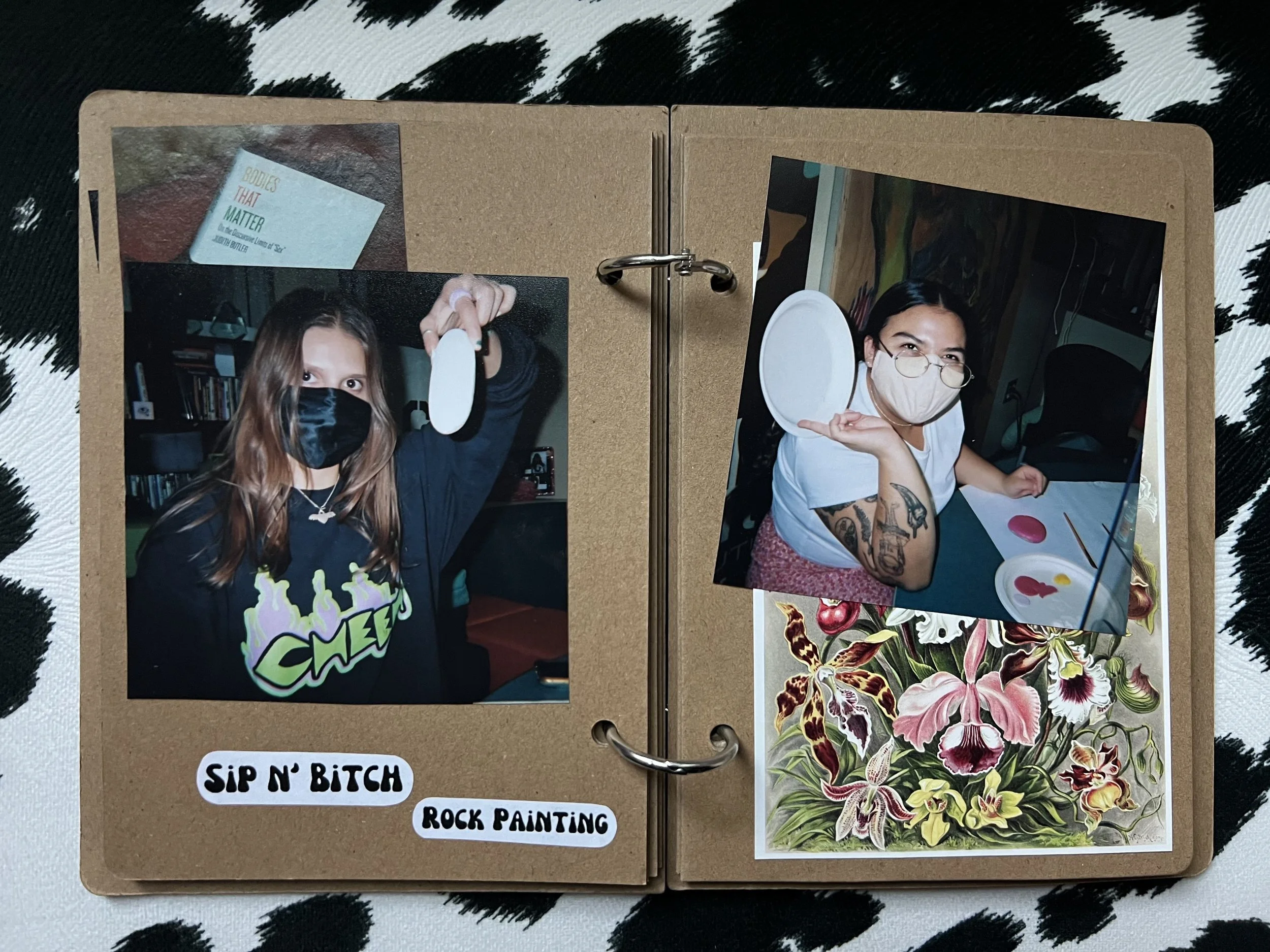 Craftivism: Rock Painting