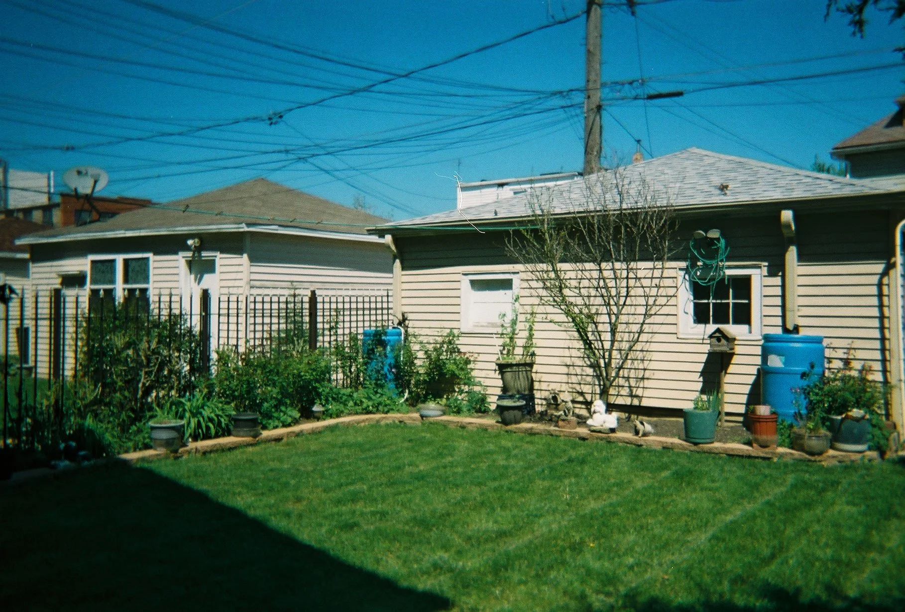 Mi Abuelita's Backyard//Dónde Mis Quinceañera Estuvieron, (2021)