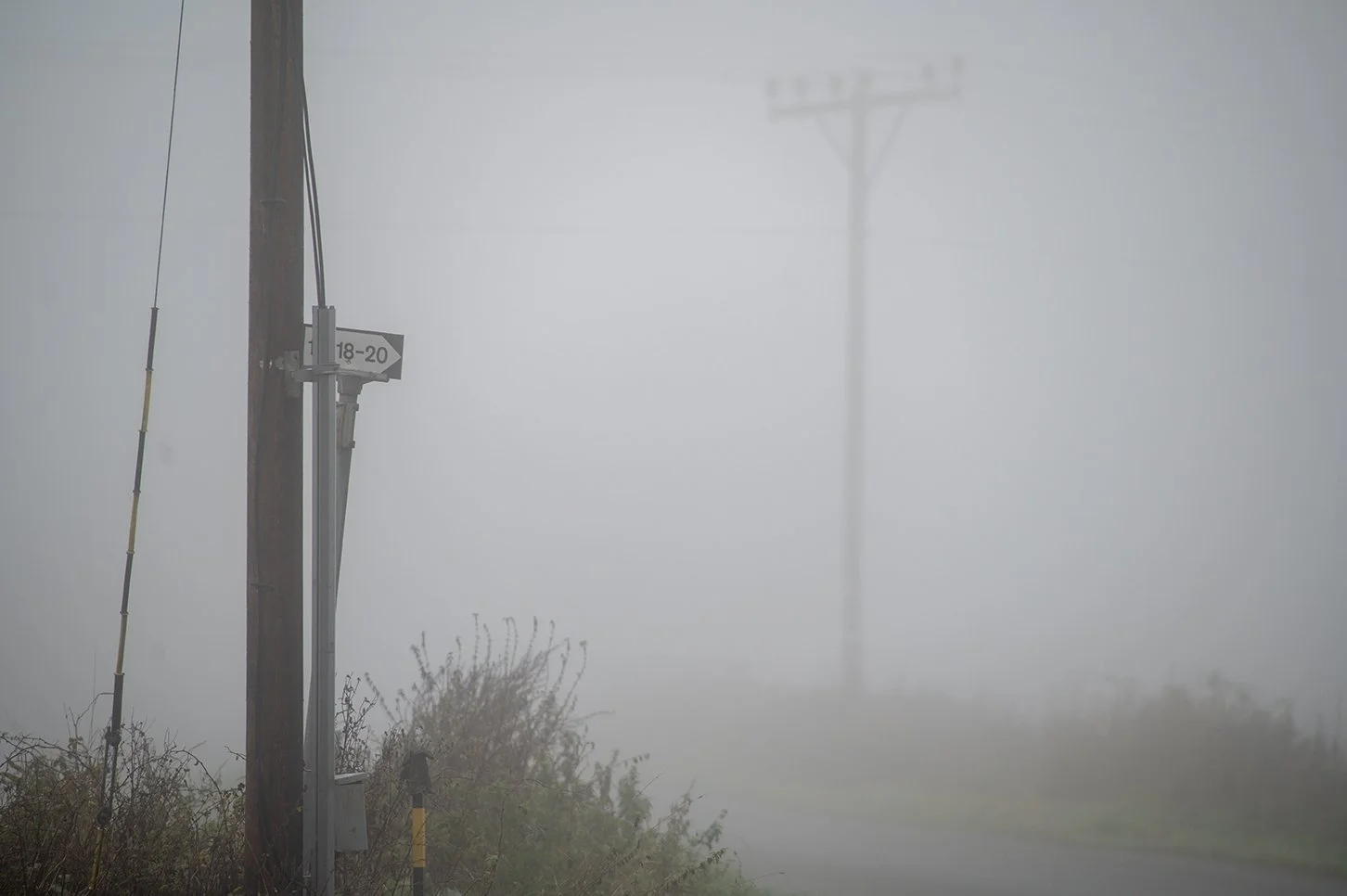 Morgentåke | Misty Morning