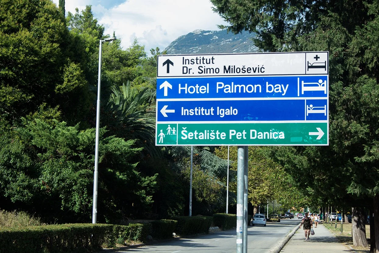 Directional road signs in a green, tree-lined street, pointing to various locations including a university, hotel, institute, and pet shelter, with cars and pedestrians in the background.
