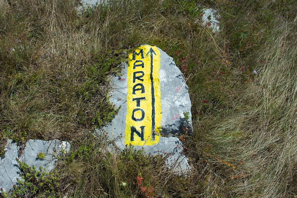 A painted rock with the word "MURADON" and an arrow pointing upward, located among grass and small plants.